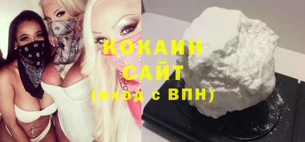 соль ск Алексин
