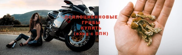 ГАЛЛЮЦИНОГЕННЫЕ ГРИБЫ Алзамай