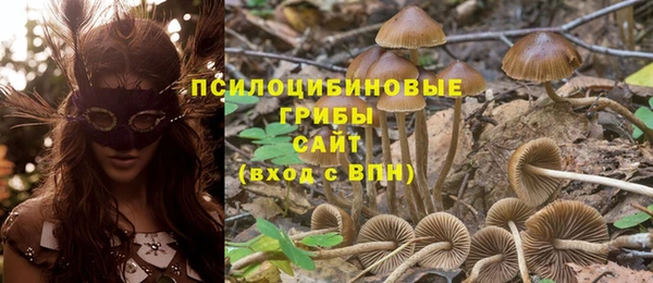 соль ск Алексин