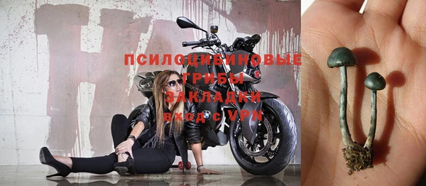 соль ск Алексин